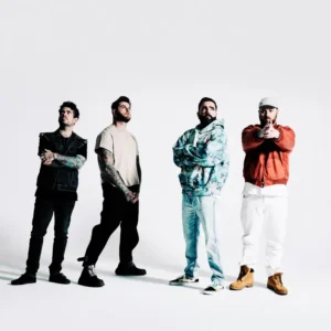 imagen de A Day to Remember en directo