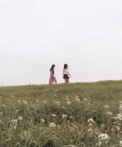 imagen de Alosa en directo