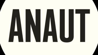 imagen de Anaut en directo