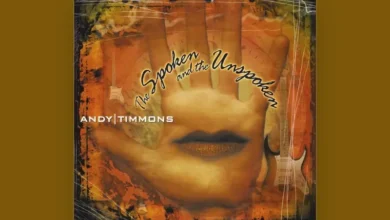 imagen de Andy Timmons en directo