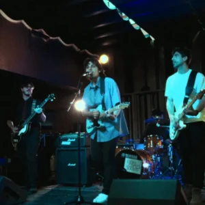 imagen de Ant Colony en directo