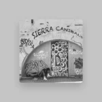 imagen de ARDO440 en directo