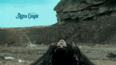 imagen de Aysu Cogur en directo