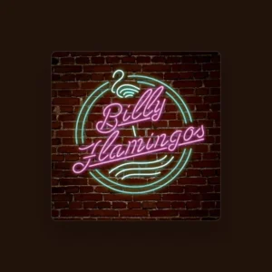 imagen de Billy Flamingos en directo