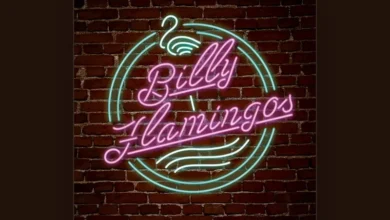 imagen de Billy Flamingos en directo