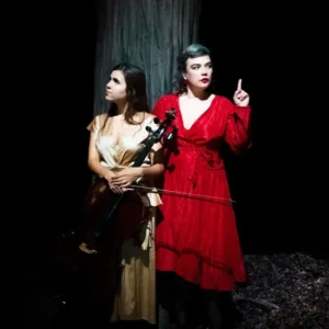 imagen de Birds on a Wire en directo