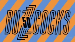 imagen del concierto de Buzzcocks Concert en madrid