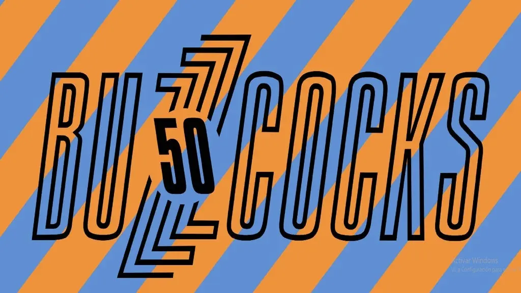 imagen del concierto de Buzzcocks Concert en madrid