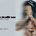 imagen del concierto de Cardellino Concert en madrid