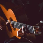 Cartel y entradas de Concierto de Flamenco en Barcelona en Sala Tarantos (Barcelona) (Cataluña) - Qconciertos