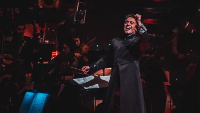imagen del concierto de Concierto de FSO Film Symphony Orchestra en Logroño en logroño