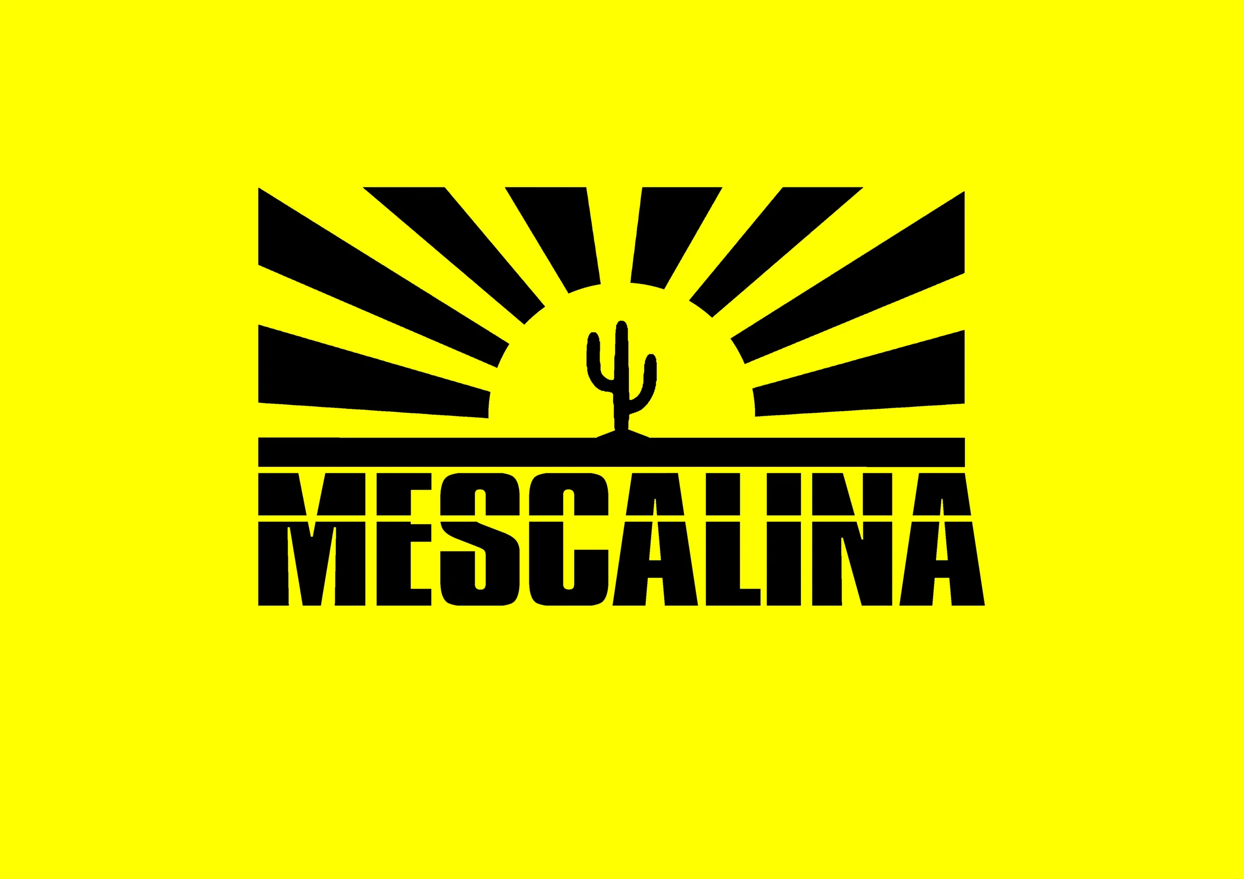 imagen del concierto de Concierto de MESCALINA en Toledo en toledo