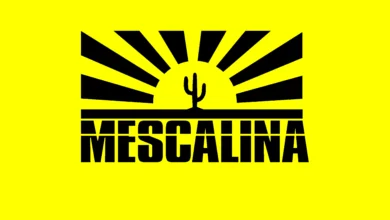 imagen del concierto de Concierto de MESCALINA en Valladolid en valladolid