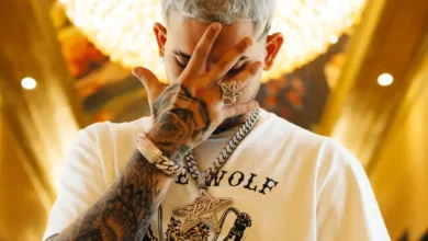 imagen de Dei V en directo