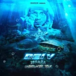 imagen del concierto de Dei V Concert en madrid