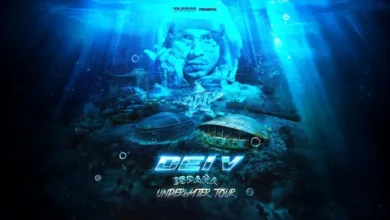 imagen del concierto de Dei V Concert en madrid