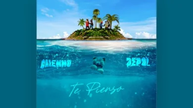 imagen de DEPOL en directo