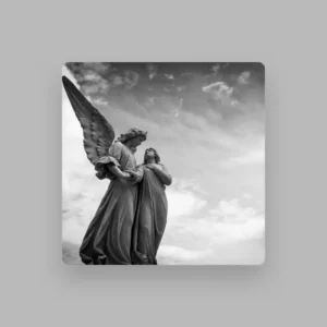 imagen de Dragonfly en directo