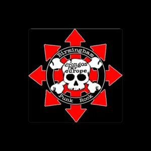 imagen de Drongos for Europe en directo