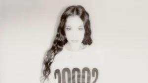 imagen del concierto de FAENNA Concert en bilbao