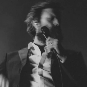 imagen de Father John Misty en directo