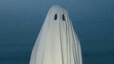 imagen de Ferran Palau en directo