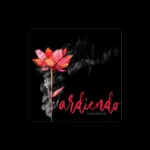 imagen de Fran Mariscal en directo