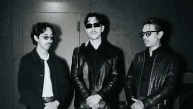 imagen de French Police en directo