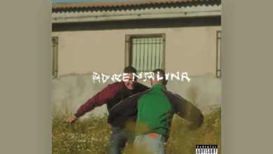 imagen de Jarfaiter en directo