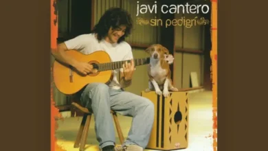 imagen del concierto de Javi Cantero Concert en seville