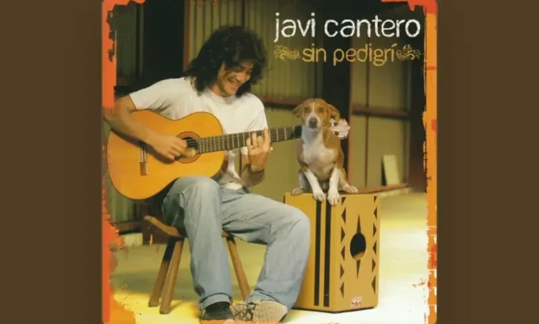 imagen del concierto de Javi Cantero Concert en seville