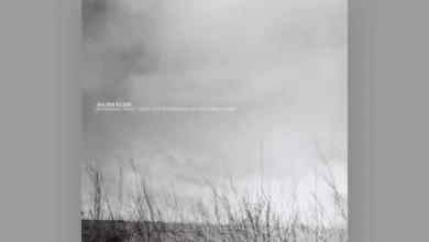 imagen de Julien Elsie en directo