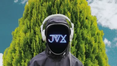 imagen de JVX en directo