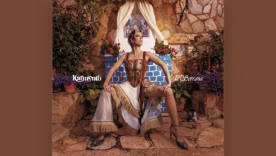 imagen de Karmento en directo