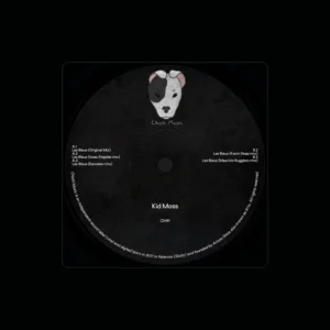 imagen de Kid Moss en directo