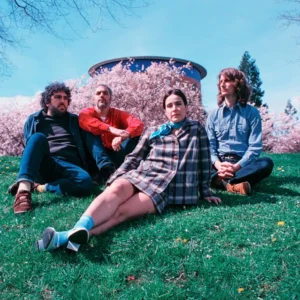 imagen de Kokoshca en directo