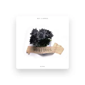 imagen de KYR4 en directo