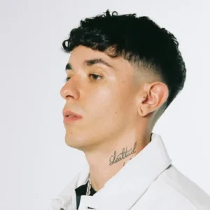 imagen de La Pantera en directo