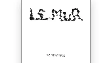 imagen de Le Mur en directo