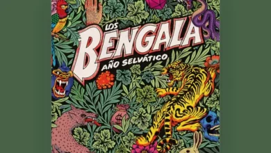 imagen de Los Bengala en directo
