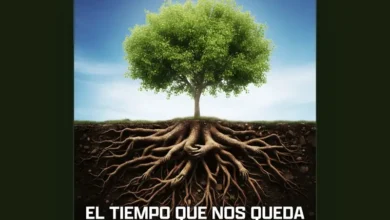 imagen de Los Meconios en directo