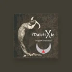 imagen del concierto de Malefixio en barcelona