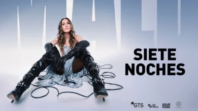 imagen del concierto de Malú Concert en madrid