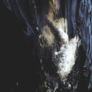 imagen de Nadja en directo