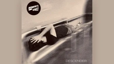 imagen de Namaste Baby en directo