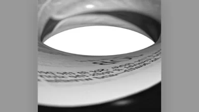 imagen de No Way Out en directo