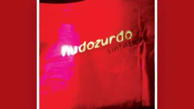 imagen del concierto de Nudozurdo Concert en madrid