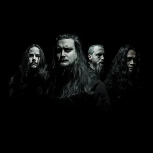 imagen de Orbit Culture en directo