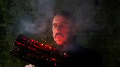 imagen de Pablo Und Destruktion en directo