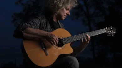 imagen del concierto de Pat Metheny Concert en donostia